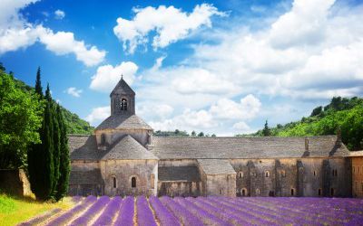 Lavendel velden in Frankrijk met een kasteel