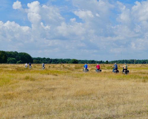 Fietsen langs de heidevelden