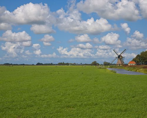 Landschap in Friesland