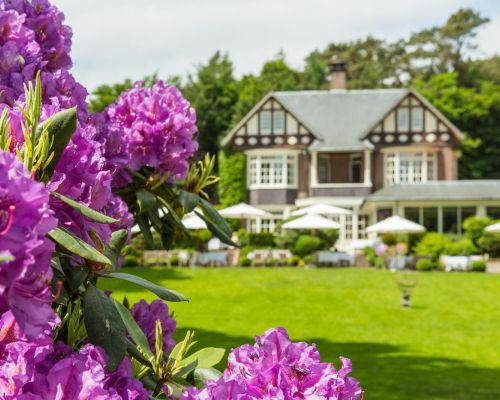 Hotel in de natuur