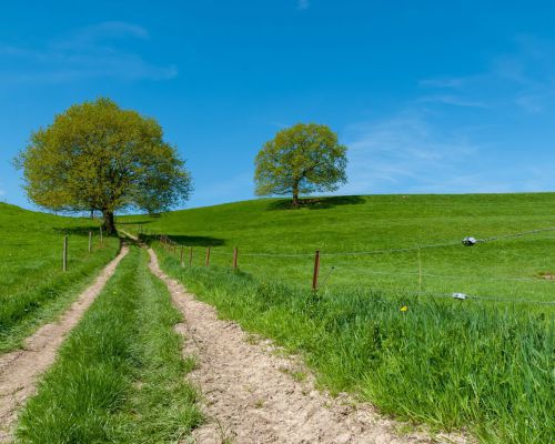 Landschap Normandië