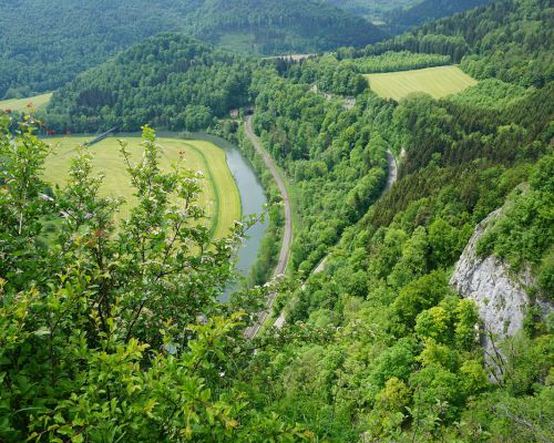 Natuur rond de Donau