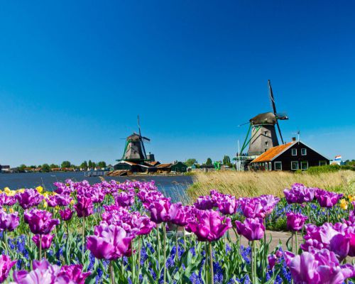Hollands landschap met windmolens