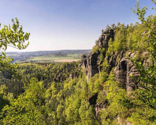 Natuur van de Elbe