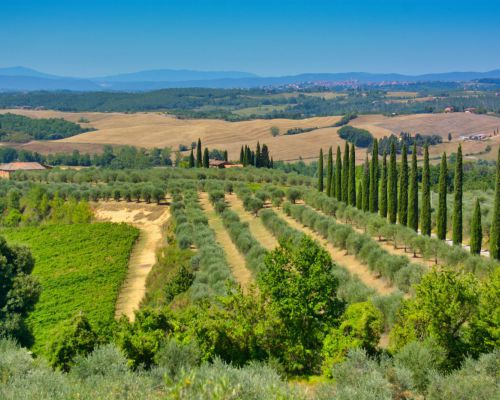 Toscaans landschap