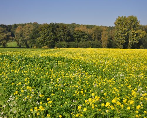 Vlaamse Ardennen