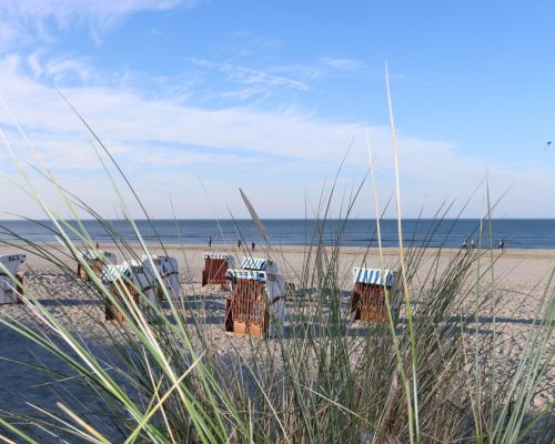 Strand bij de Waddenzee