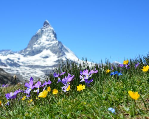 Natuur van Zwitserland