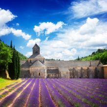 Lavendel velden in Frankrijk met een kasteel
