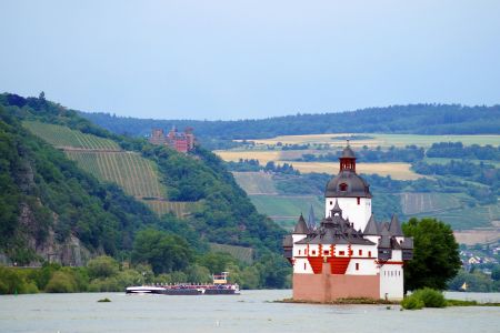 Burg Pfalzgrafenstein