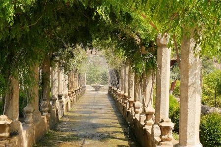 Jardins d'Alfàbia