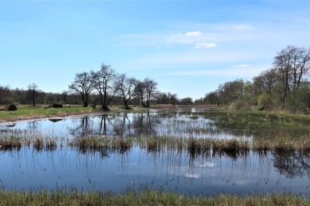 Nationaal Park Weerribben-Wieden