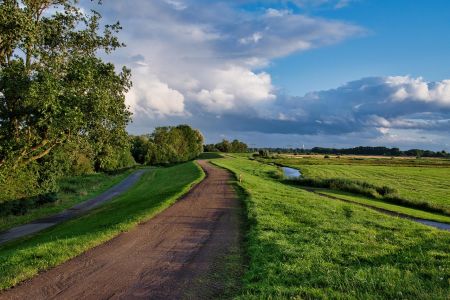 Natuurgebied Geltinger Birk