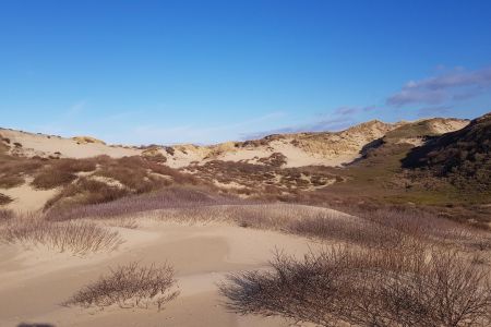 Kootwijkerzand
