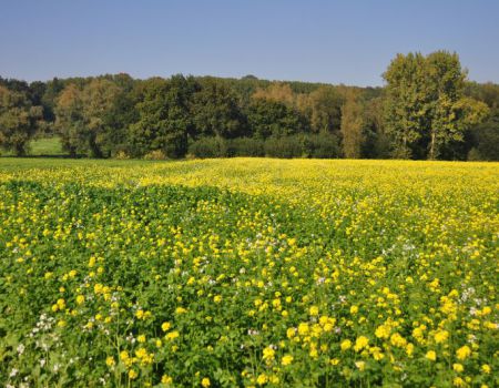 Franse Ardennen fietsvakantie