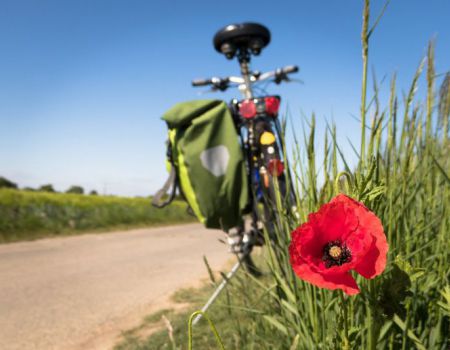 Fietsen België