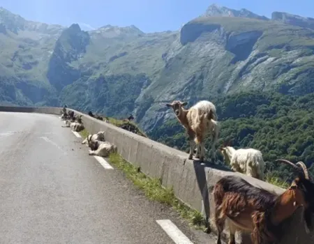 Weg in de Pyreneeen