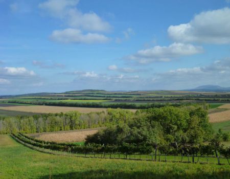 fietsen langs de galgenberg