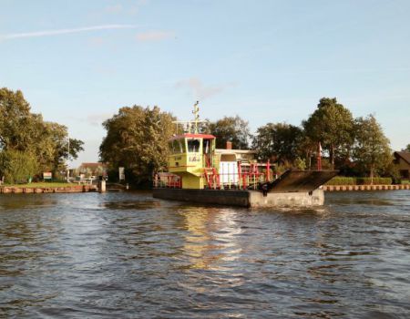 Grou friesland