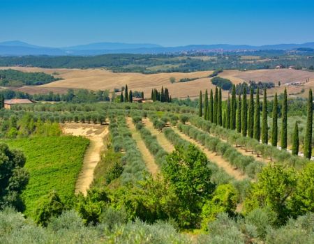 Toscaans landschap met akkers en cypressen