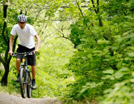 Mountainbike door het bos