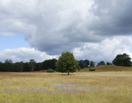 Fiestvakantie Tubbergen