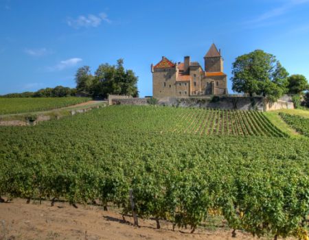Wijngaarden in Bourgondië