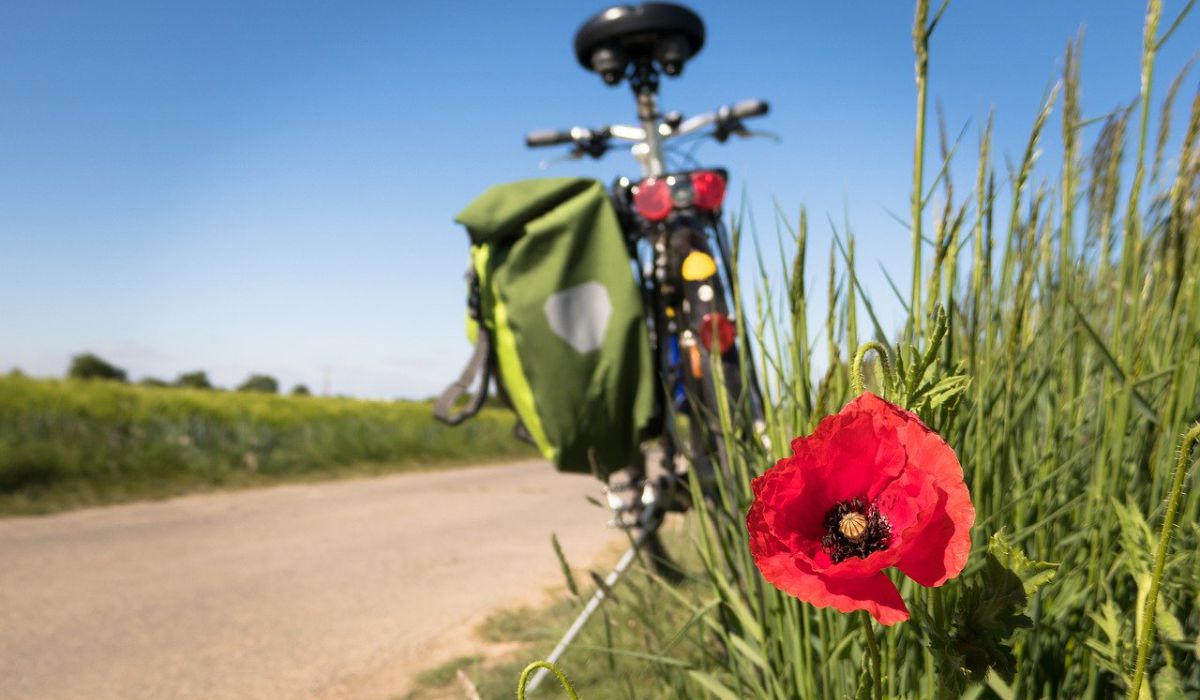 Fiets langs de weg met rode bloem