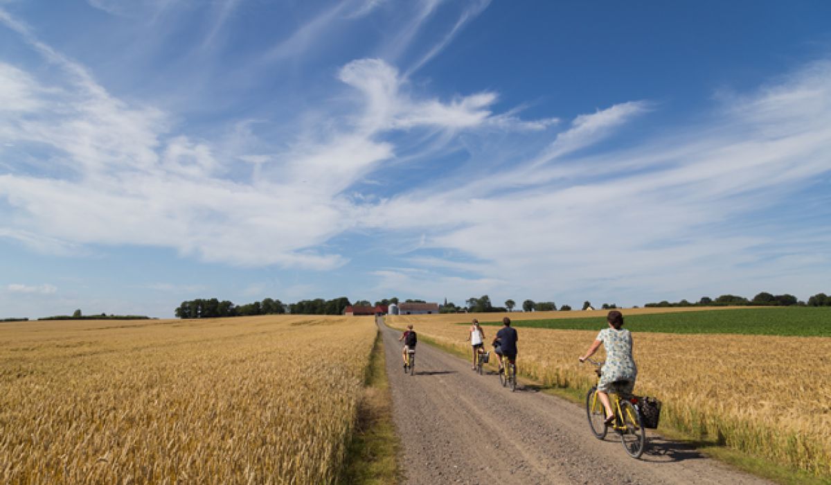 Fietsen door een landschap