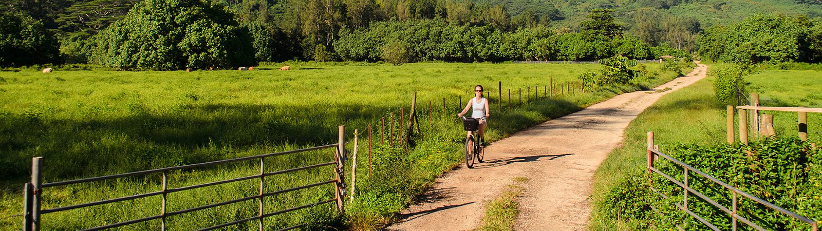 Fietsen door weiland