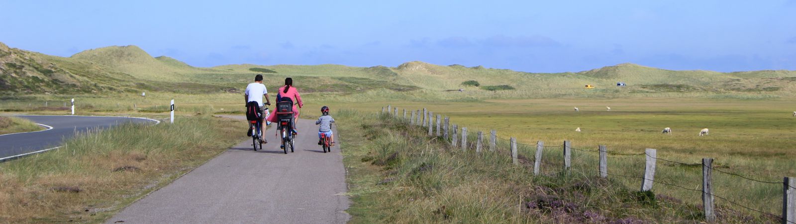 gezin fietst op lange weg
