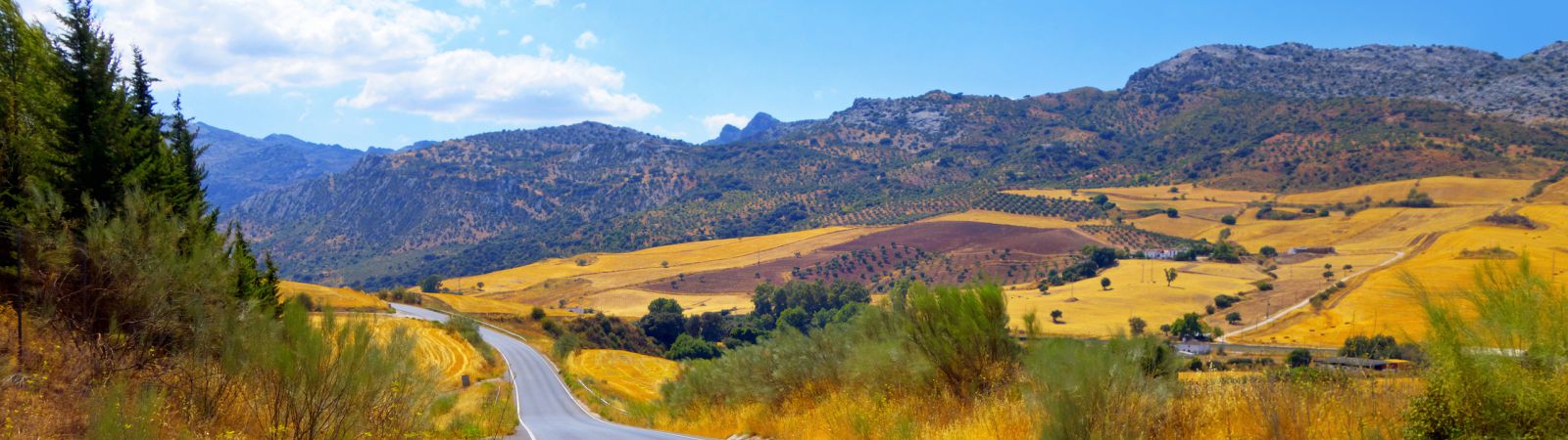 landschap in Spanje met fietspad