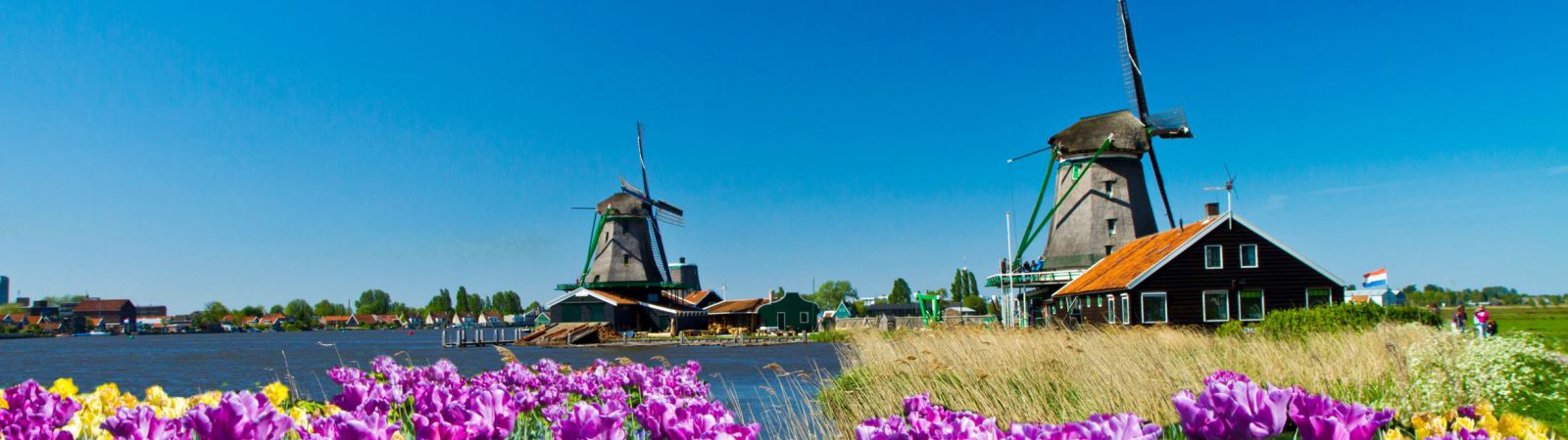 Nederland fietsen langs molens