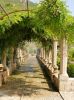 Jardins d'Alfàbia