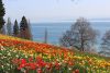 Mainau